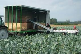 TRANSPORTEURS DE LÉGUMES