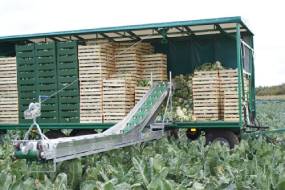 TRANSPORTEURS DE LÉGUMES