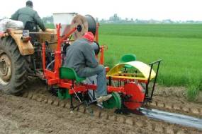 MACHINES DE REVÊTEMENT VÉGÉTAL