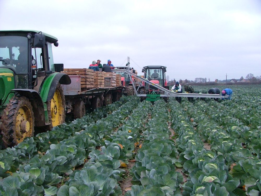 TRANSPORTEURS DE LÉGUMES